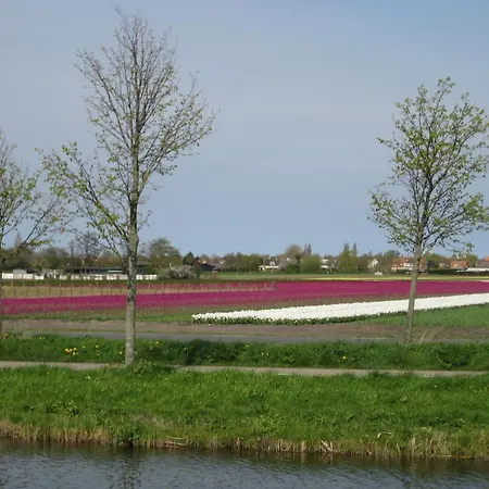 Janny - Medemblik